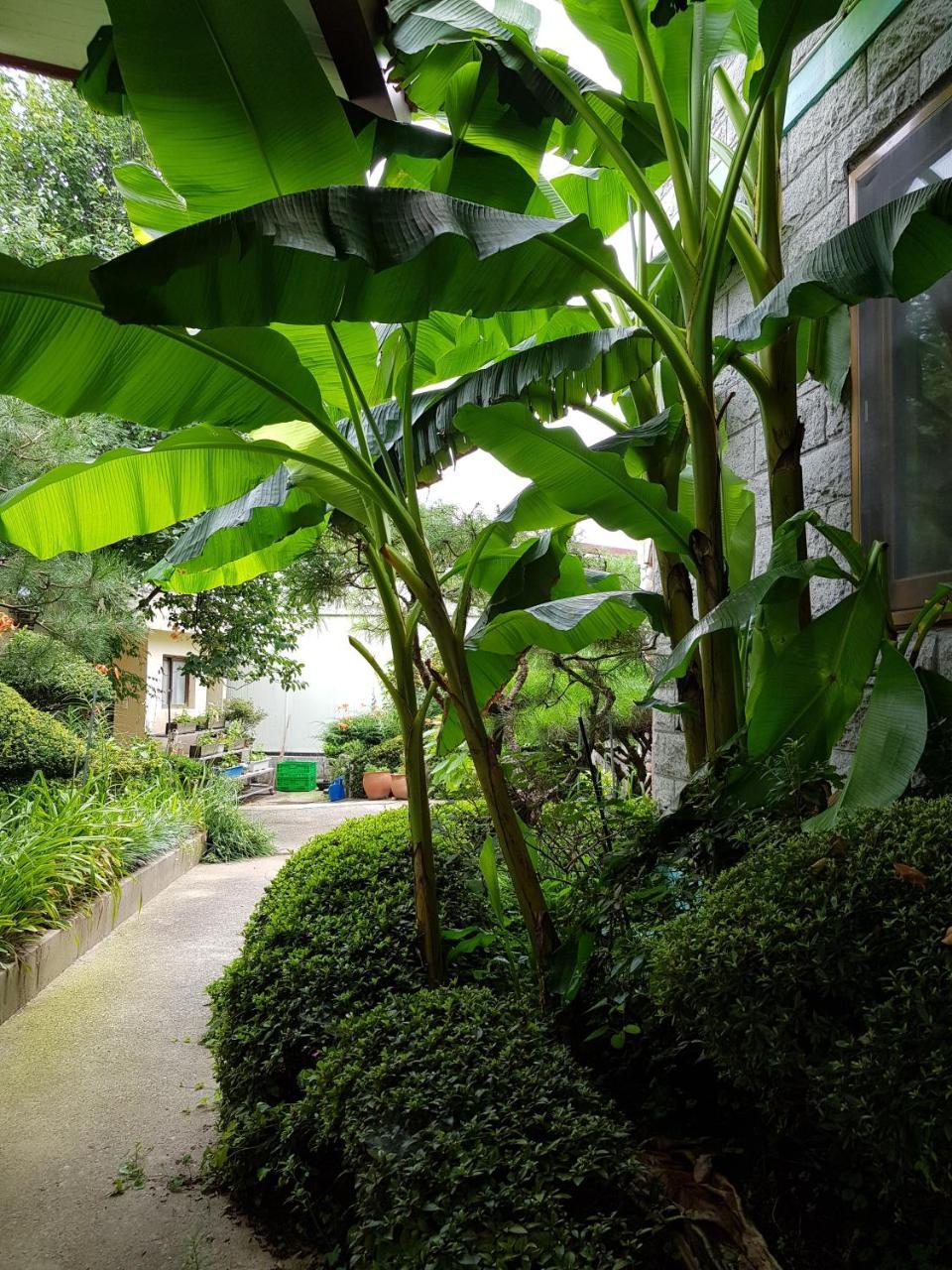 Hotel Jnw Minbak Damyang Exteriér fotografie